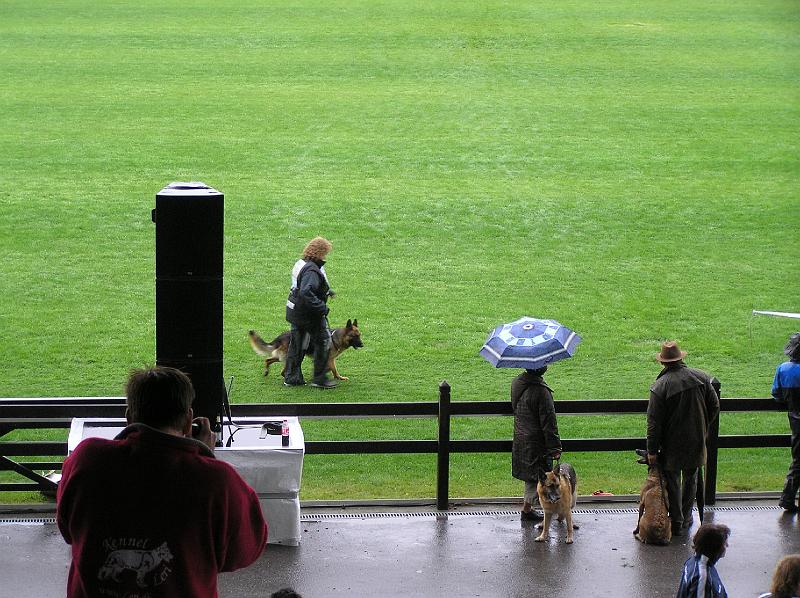 15-9-08 069.jpg